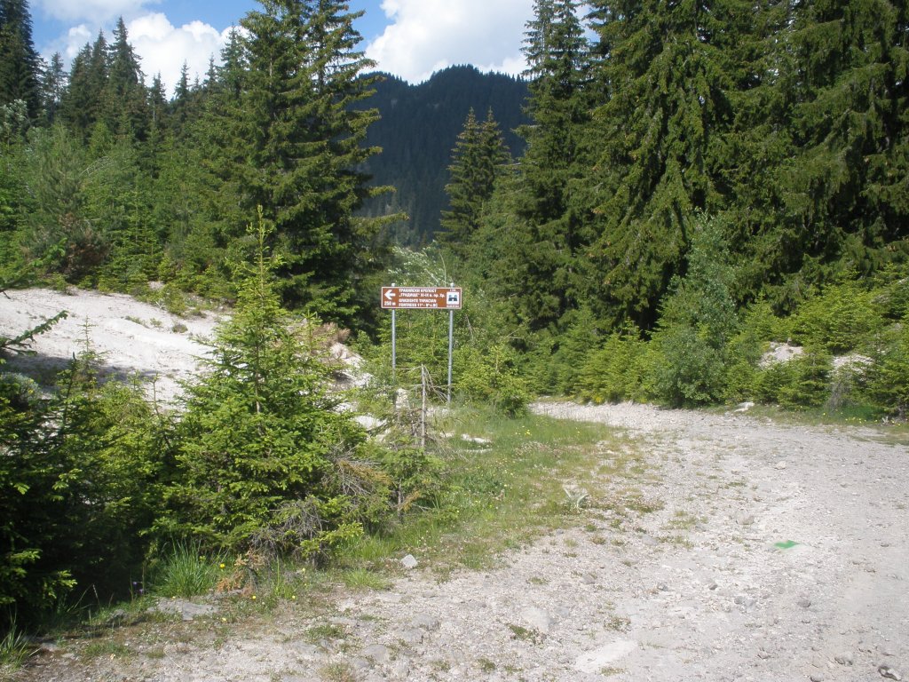 Натиснете снимката за да я уголемите

Име:P6260155.jpg
Прегледи:1
Размер:265.4 КБ
ID:5506504