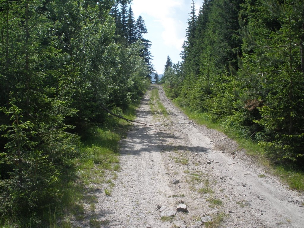 Натиснете снимката за да я уголемите

Име:P6260156.jpg
Прегледи:1
Размер:266.7 КБ
ID:5506505