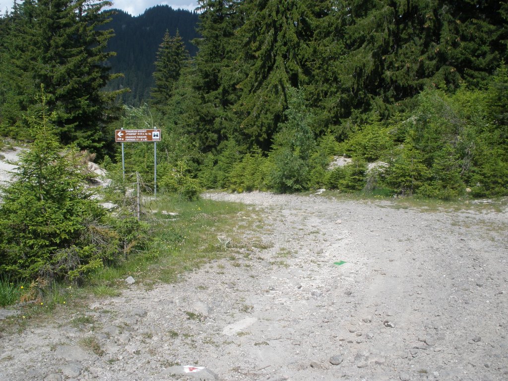 Натиснете снимката за да я уголемите

Име:P6260157.jpg
Прегледи:1
Размер:269.5 КБ
ID:5506506