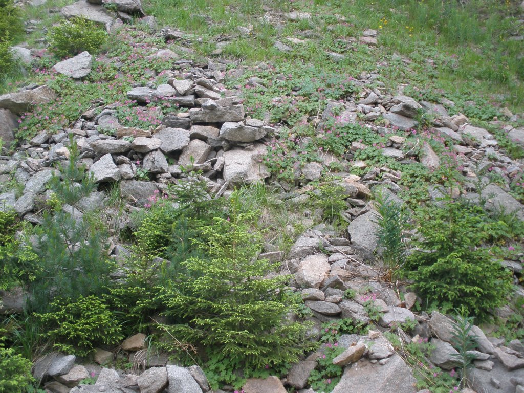 Натиснете снимката за да я уголемите

Име:P6260159.jpg
Прегледи:1
Размер:288.8 КБ
ID:5506508