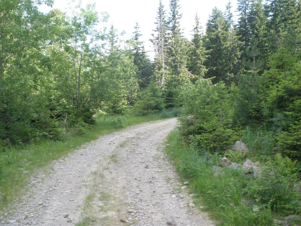 Натиснете снимката за да я уголемите

Име:P6260163.jpg
Прегледи:1
Размер:240.1 КБ
ID:5506512