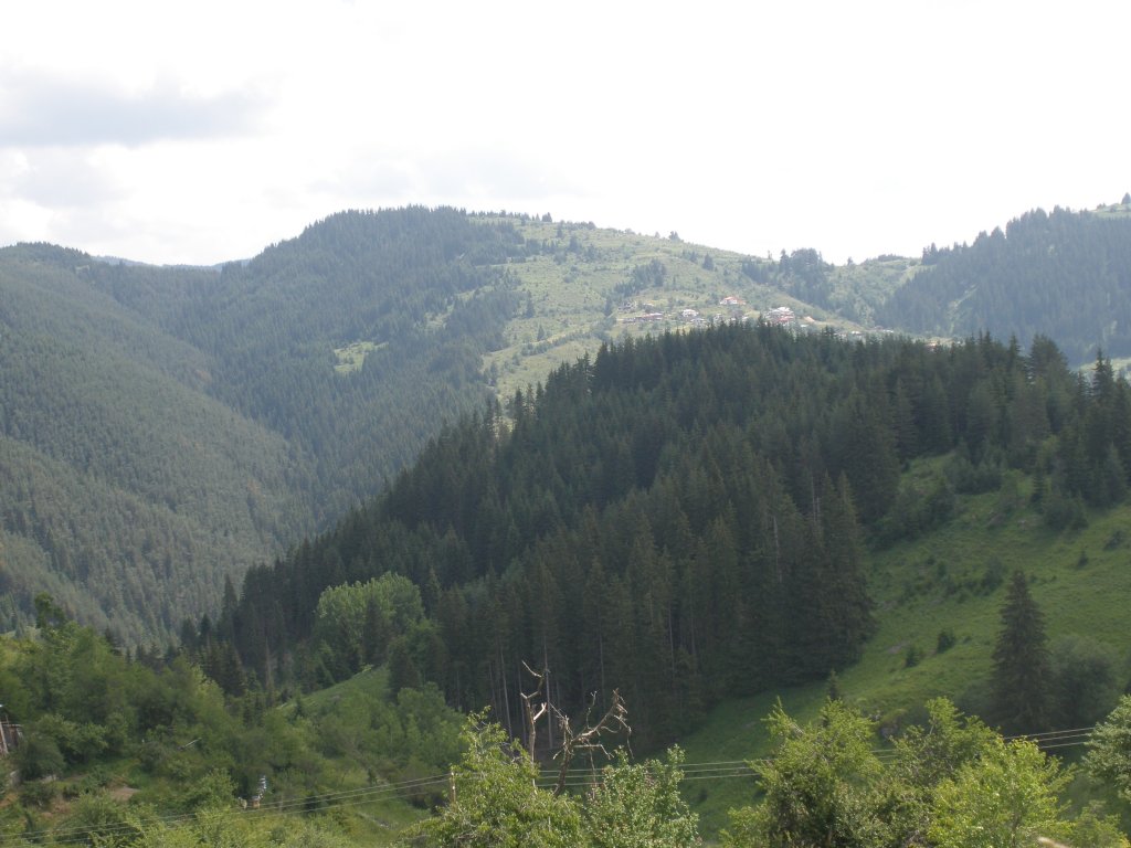 Натиснете снимката за да я уголемите

Име:P6260171.jpg
Прегледи:1
Размер:114.8 КБ
ID:5506520