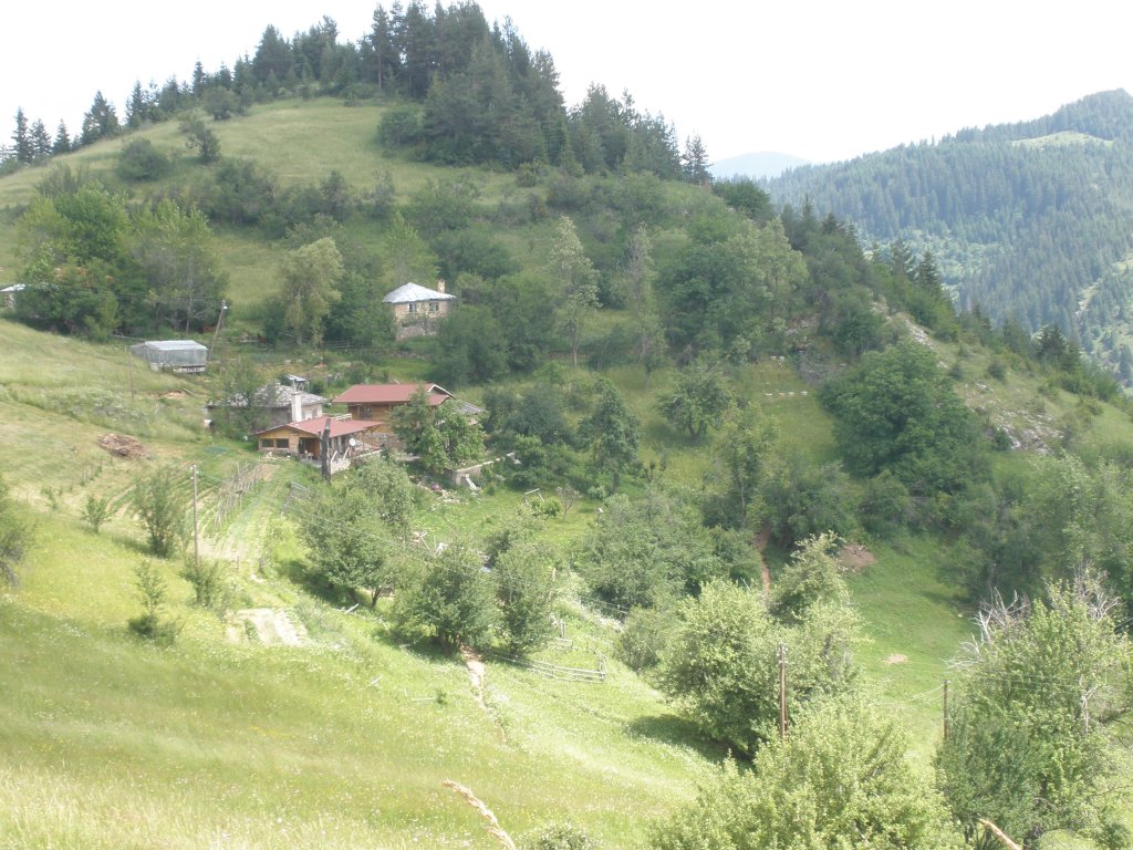 Натиснете снимката за да я уголемите

Име:P6260172.jpg
Прегледи:1
Размер:190.5 КБ
ID:5506521