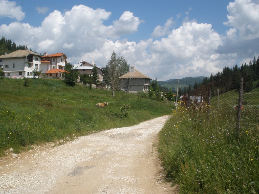 Натиснете снимката за да я уголемите

Име:P6260175.jpg
Прегледи:1
Размер:170.9 КБ
ID:5506538