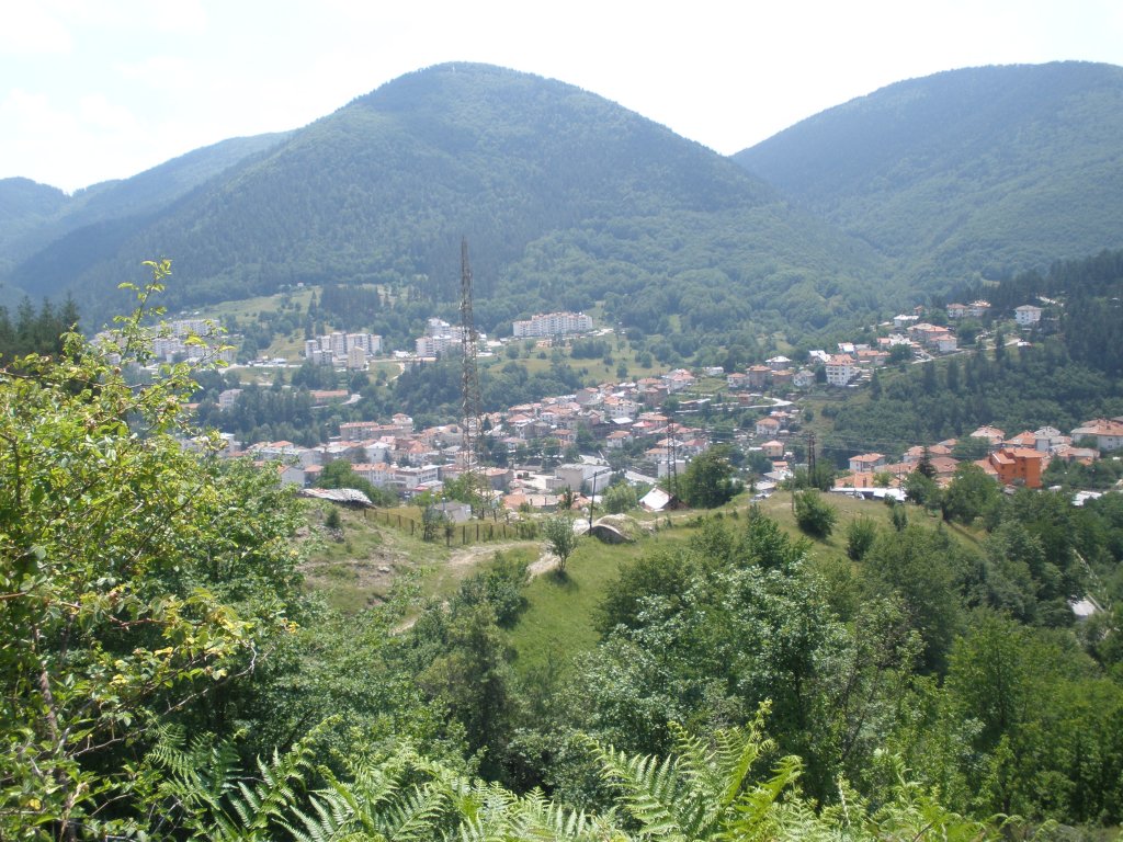 Натиснете снимката за да я уголемите

Име:P6260184.jpg
Прегледи:1
Размер:220.1 КБ
ID:5506547