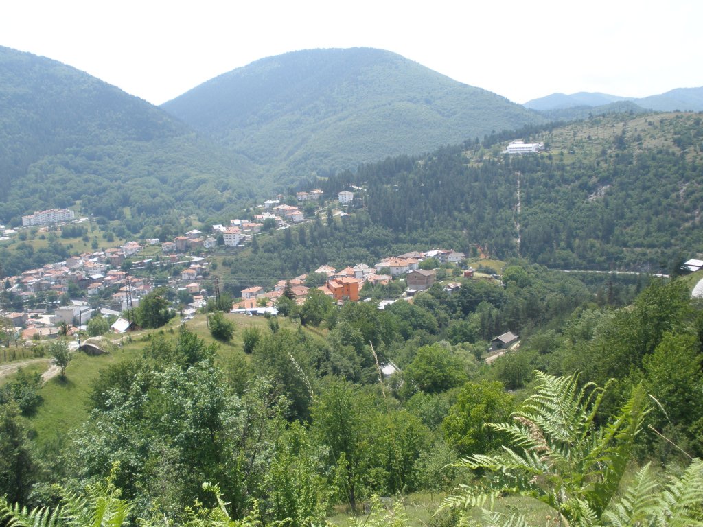 Натиснете снимката за да я уголемите

Име:P6260185.jpg
Прегледи:1
Размер:202.6 КБ
ID:5506548