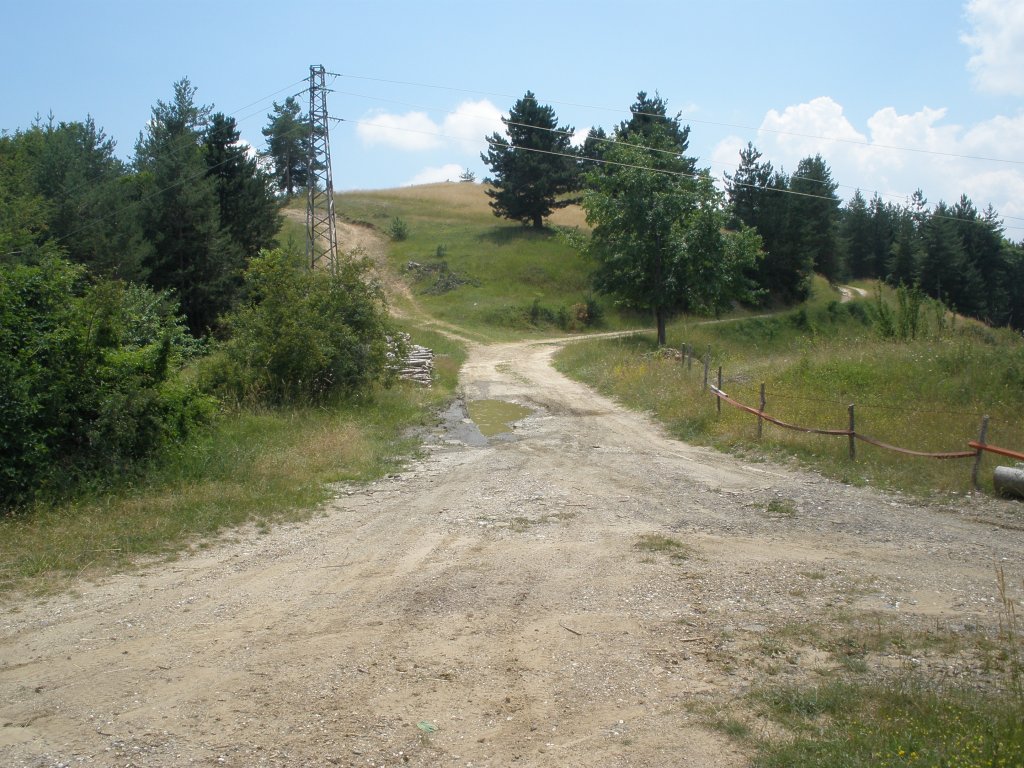 Натиснете снимката за да я уголемите

Име:P6260187.jpg
Прегледи:1
Размер:201.3 КБ
ID:5506550