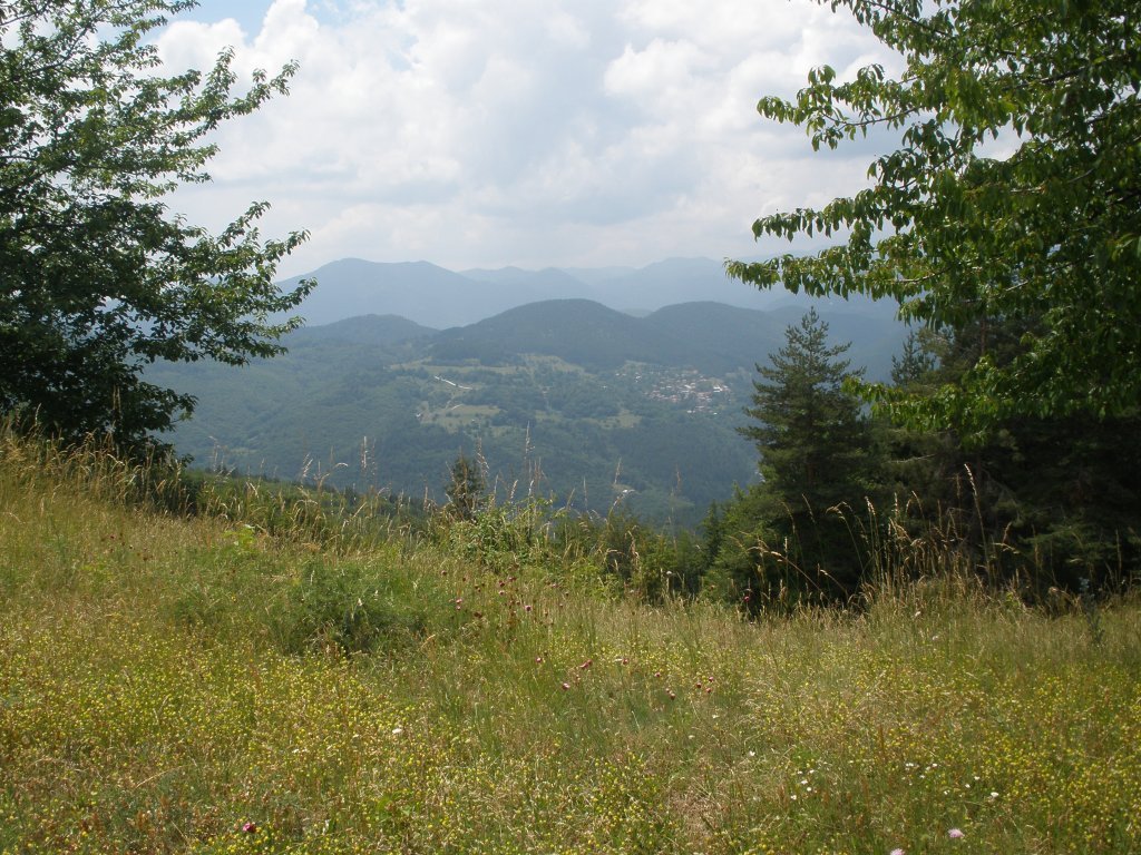 Натиснете снимката за да я уголемите

Име:P6260189.jpg
Прегледи:1
Размер:235.8 КБ
ID:5506552