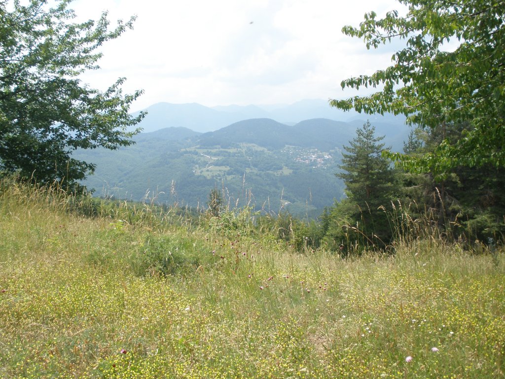 Натиснете снимката за да я уголемите

Име:P6260190.jpg
Прегледи:1
Размер:257.1 КБ
ID:5506553