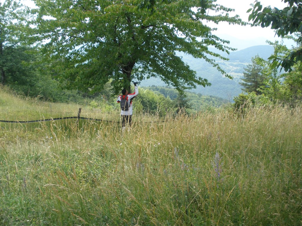 Натиснете снимката за да я уголемите

Име:P6260195.jpg
Прегледи:1
Размер:279.7 КБ
ID:5506557