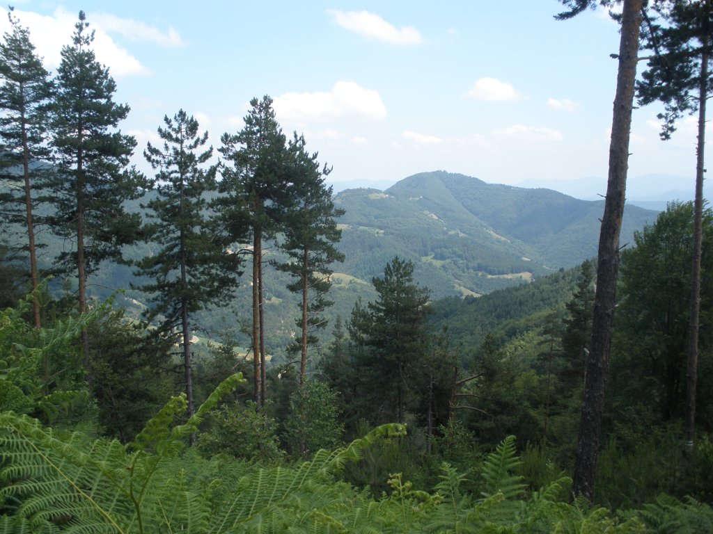 Натиснете снимката за да я уголемите

Име:P6260196.jpg
Прегледи:1
Размер:167.4 КБ
ID:5506558