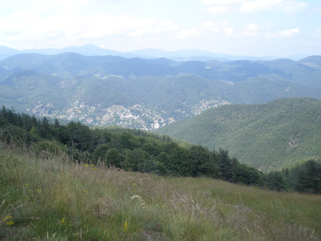 Натиснете снимката за да я уголемите

Име:P6260198.jpg
Прегледи:1
Размер:134.1 КБ
ID:5506560