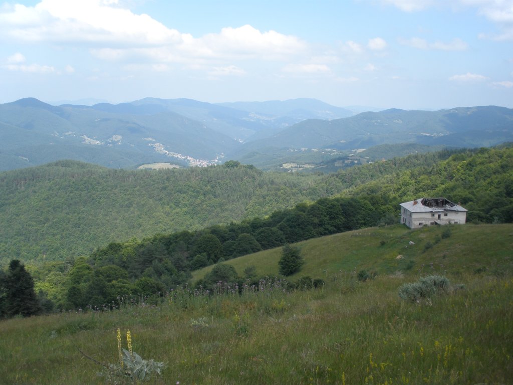 Натиснете снимката за да я уголемите

Име:P6260199.jpg
Прегледи:1
Размер:118.8 КБ
ID:5506561