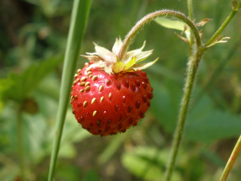 Натиснете снимката за да я уголемите

Име:P6260210.jpg
Прегледи:1
Размер:98.4 КБ
ID:5506796