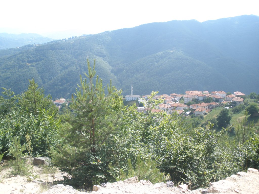 Натиснете снимката за да я уголемите

Име:P6260215.jpg
Прегледи:1
Размер:199.2 КБ
ID:5506801