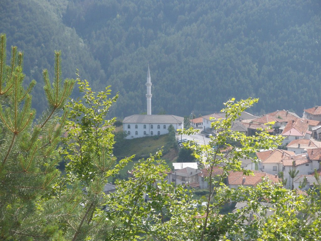 Натиснете снимката за да я уголемите

Име:P6260216.jpg
Прегледи:1
Размер:219.8 КБ
ID:5506802