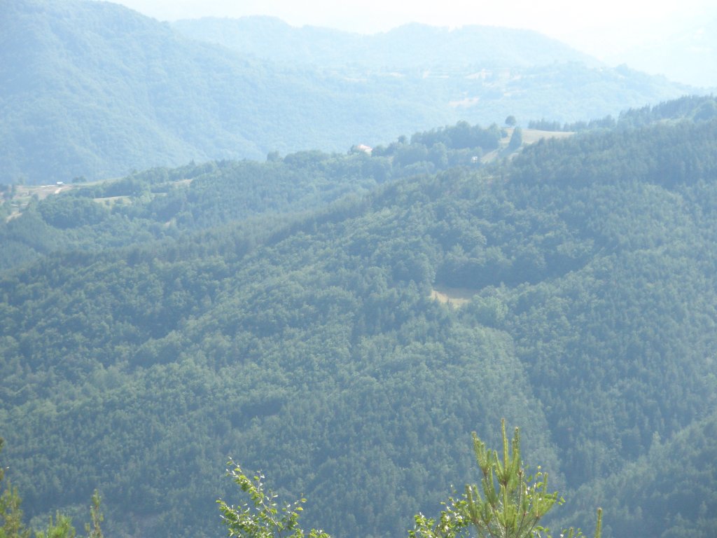 Натиснете снимката за да я уголемите

Име:P6260217.jpg
Прегледи:1
Размер:120.0 КБ
ID:5506803