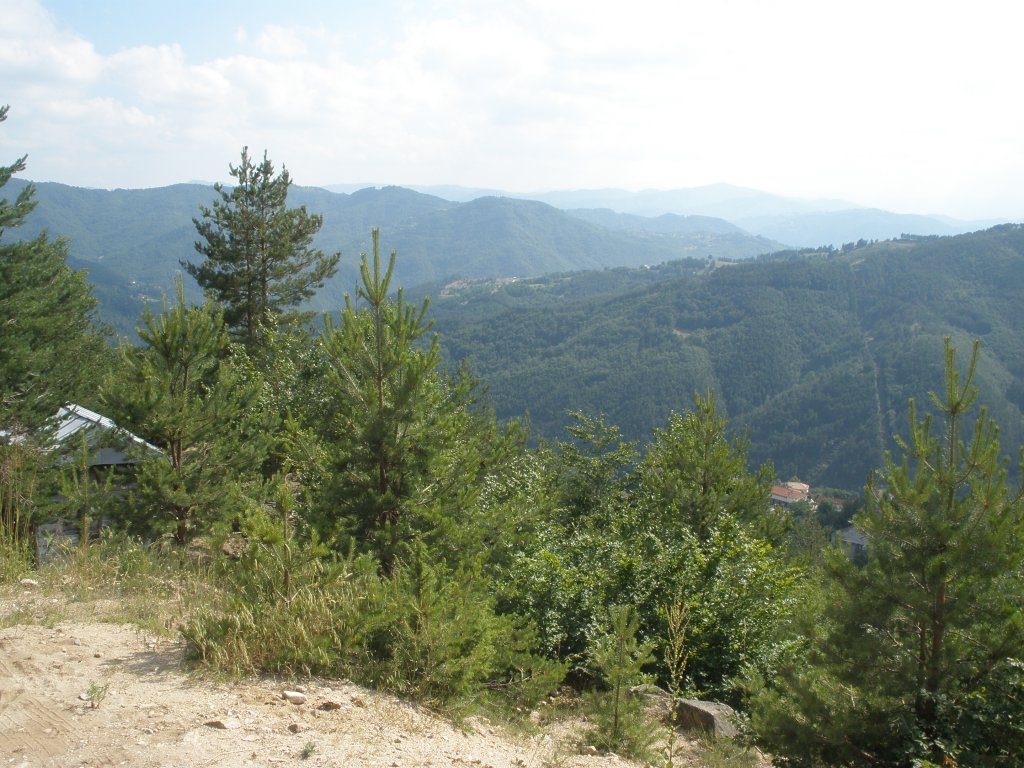 Натиснете снимката за да я уголемите

Име:P6260218.jpg
Прегледи:1
Размер:182.6 КБ
ID:5506805