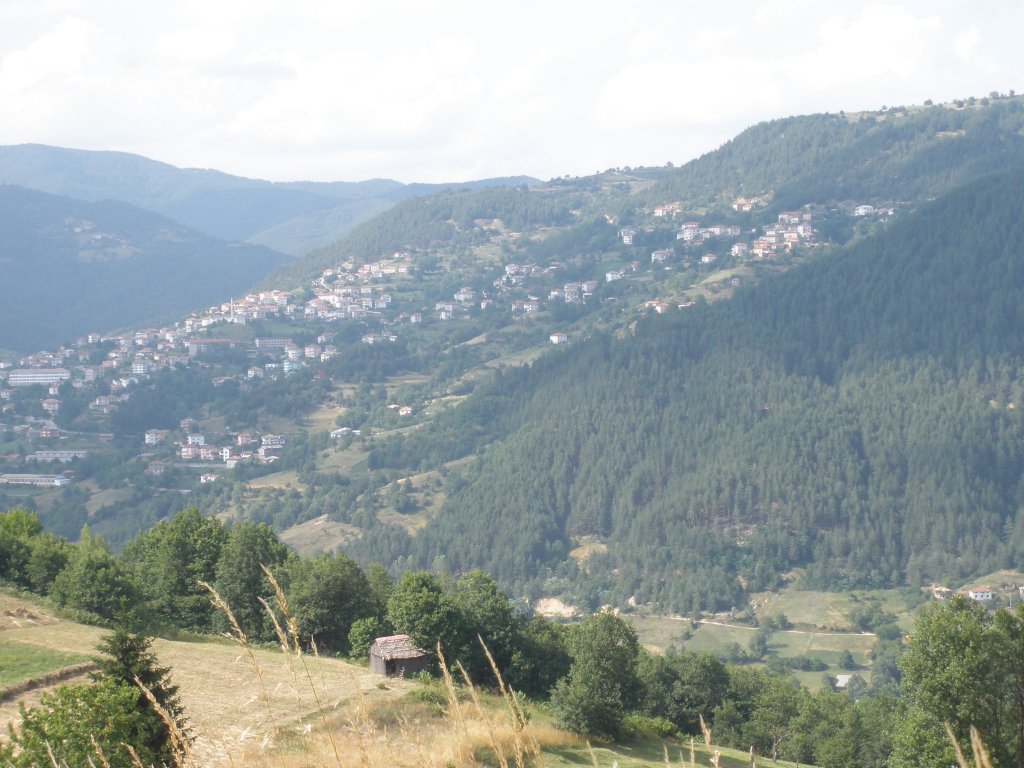 Натиснете снимката за да я уголемите

Име:P6260220.jpg
Прегледи:1
Размер:147.4 КБ
ID:5506807