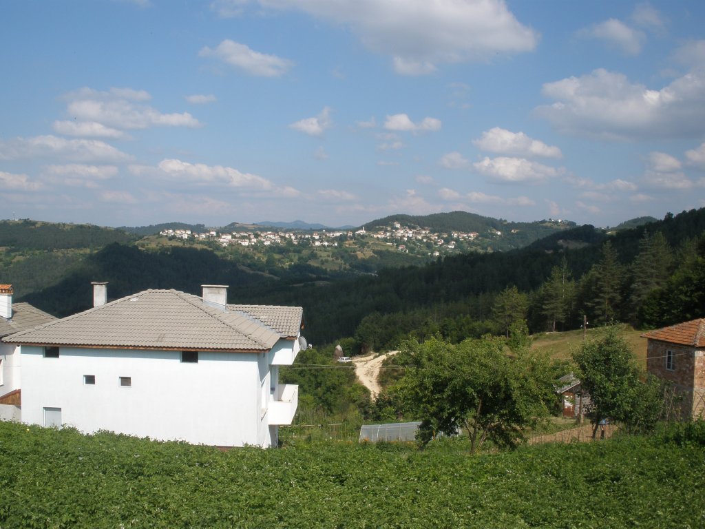 Натиснете снимката за да я уголемите

Име:P6260223.jpg
Прегледи:1
Размер:144.8 КБ
ID:5506829