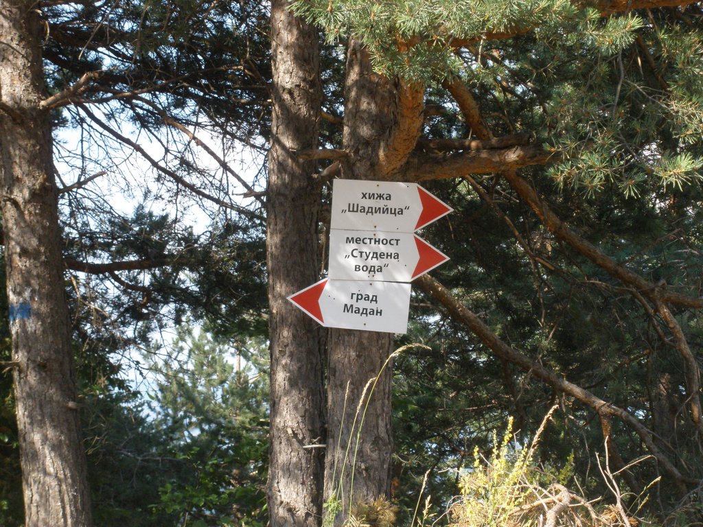 Натиснете снимката за да я уголемите

Име:P6260225.jpg
Прегледи:1
Размер:270.5 КБ
ID:5506831