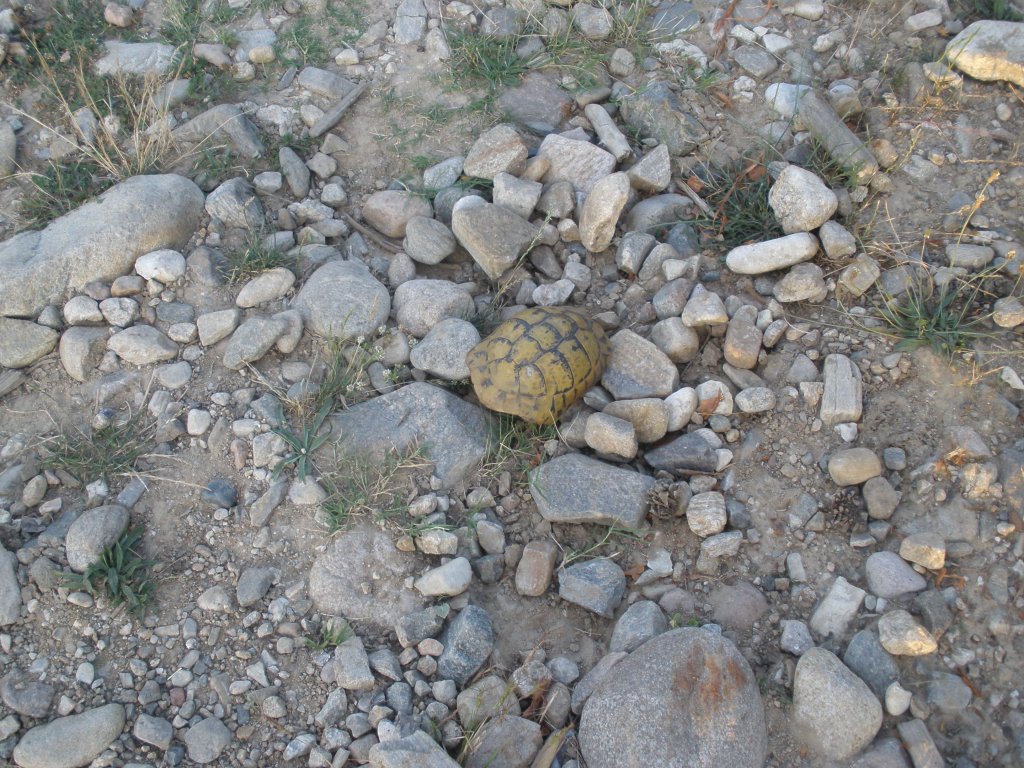 Натиснете снимката за да я уголемите

Име:P6260232.jpg
Прегледи:1
Размер:234.3 КБ
ID:5506840