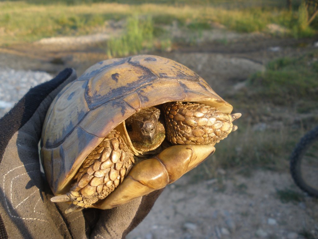Натиснете снимката за да я уголемите

Име:P6260234.jpg
Прегледи:1
Размер:127.4 КБ
ID:5506844
