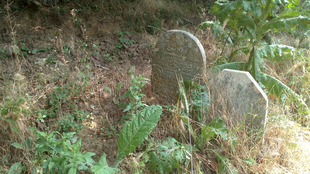 Натиснете снимката за да я уголемите

Име:DSC_0487.jpg
Прегледи:1
Размер:229.6 КБ
ID:5506889