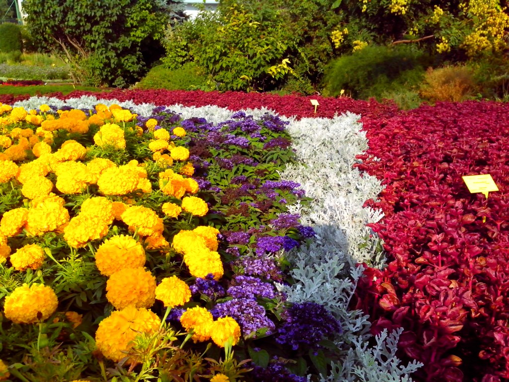 Натиснете снимката за да я уголемите

Име:IMG_20130731_180908.jpg
Прегледи:1
Размер:334.3 КБ
ID:5507264