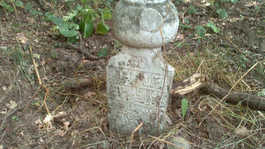 Натиснете снимката за да я уголемите

Име:DSC_0491.jpg
Прегледи:1
Размер:186.8 КБ
ID:5507288