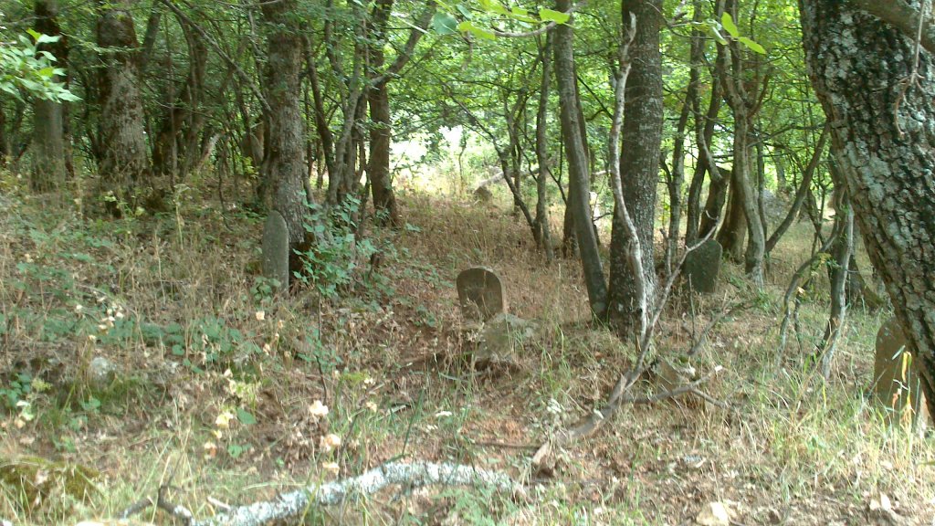 Натиснете снимката за да я уголемите

Име:DSC_0497.jpg
Прегледи:1
Размер:216.4 КБ
ID:5507294
