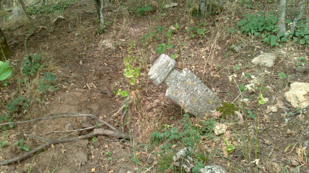 Натиснете снимката за да я уголемите

Име:DSC_0499.jpg
Прегледи:1
Размер:195.1 КБ
ID:5507295
