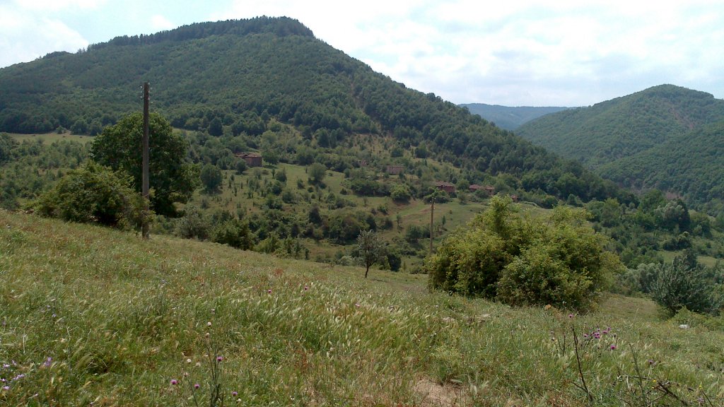 Натиснете снимката за да я уголемите

Име:DSC_0517.jpg
Прегледи:1
Размер:162.3 КБ
ID:5507319