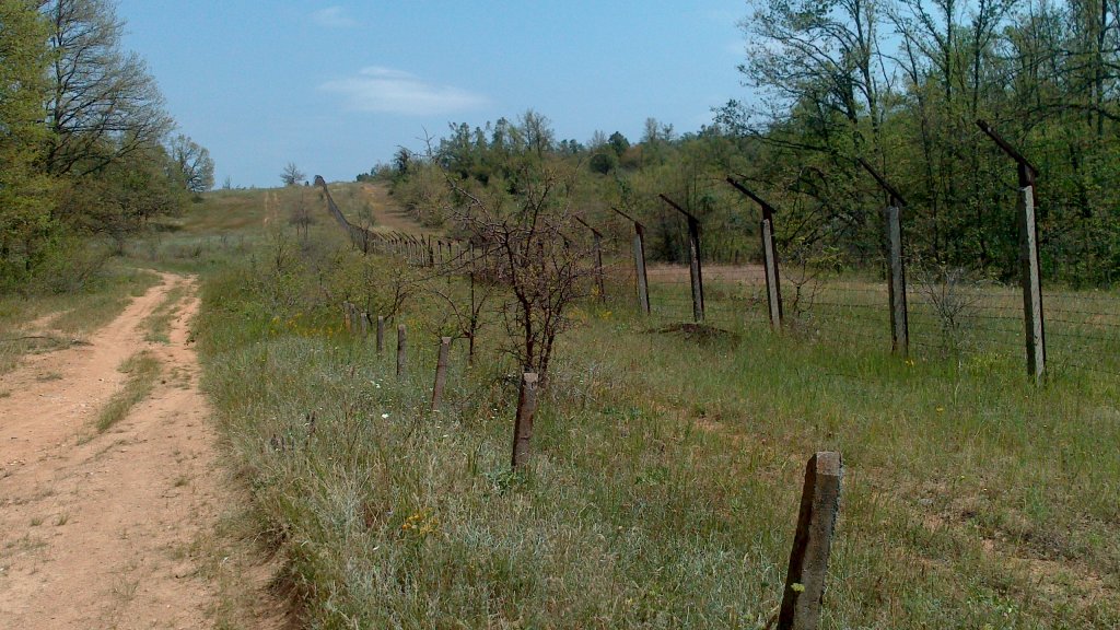 Натиснете снимката за да я уголемите

Име:DSC_0626.jpg
Прегледи:1
Размер:181.8 КБ
ID:5507578