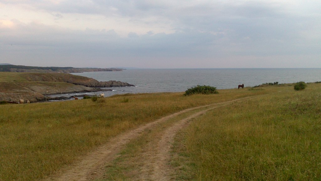 Натиснете снимката за да я уголемите

Име:DSC_0709.jpg
Прегледи:1
Размер:93.6 КБ
ID:5507842