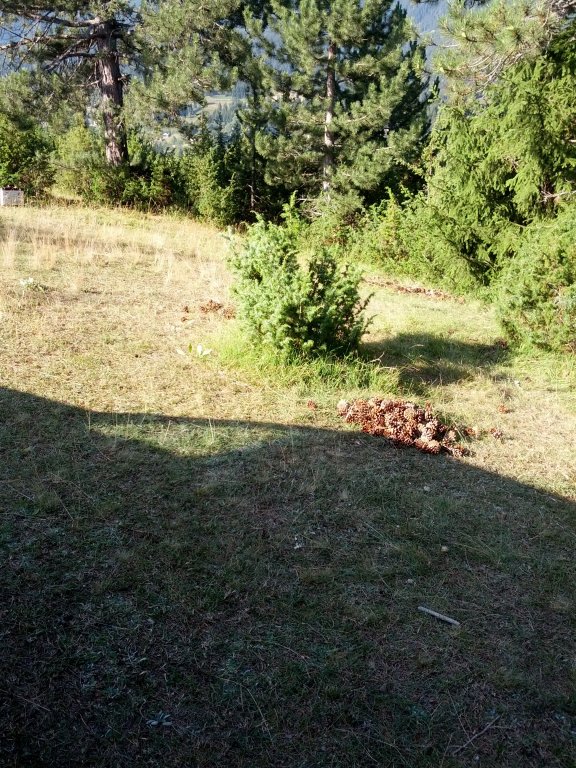 Натиснете снимката за да я уголемите

Име:IMG_20130804_085607.jpg
Прегледи:1
Размер:180.7 КБ
ID:5509055