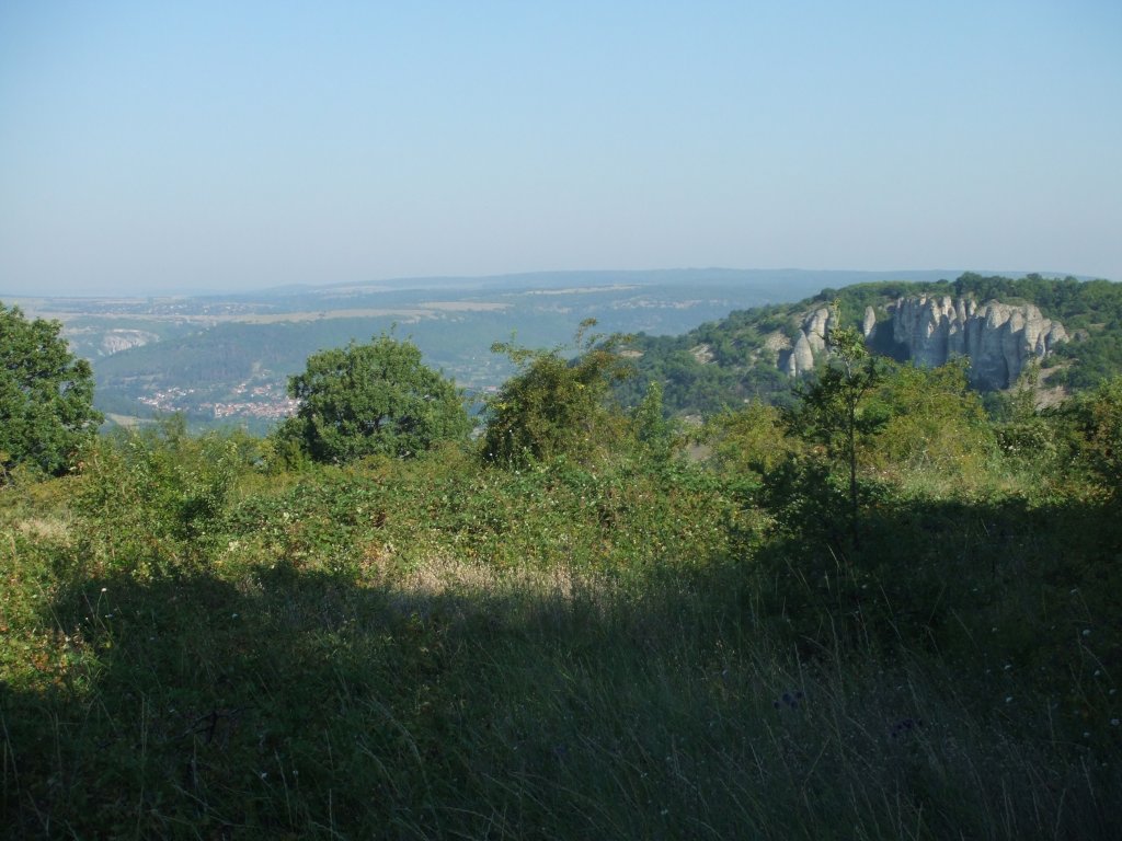 Натиснете снимката за да я уголемите

Име:DSCF4132.jpg
Прегледи:1
Размер:137.9 КБ
ID:5510606