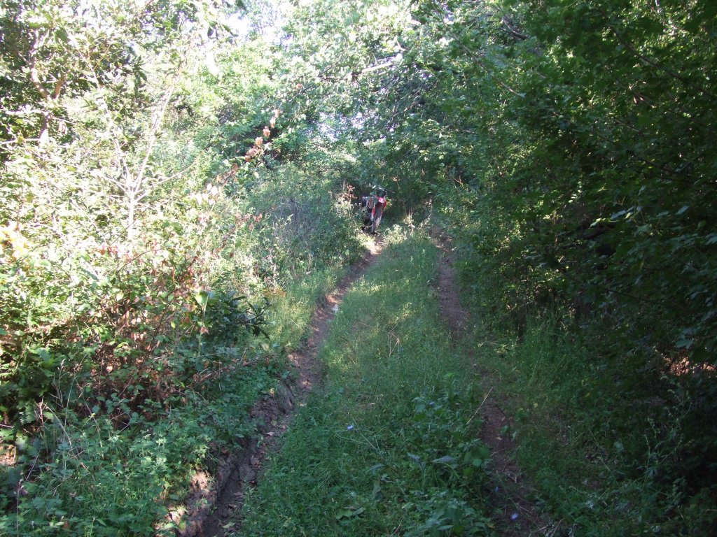 Натиснете снимката за да я уголемите

Име:DSCF4126.jpg
Прегледи:1
Размер:287.5 КБ
ID:5510608