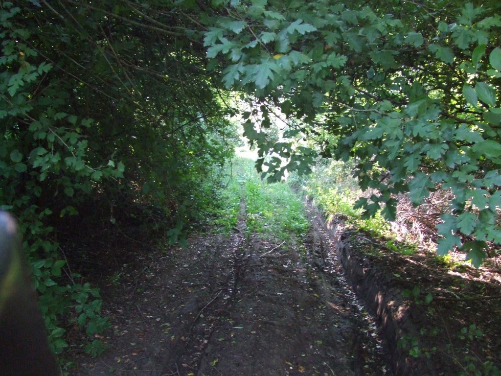 Натиснете снимката за да я уголемите

Име:DSCF4127.jpg
Прегледи:1
Размер:209.3 КБ
ID:5510609