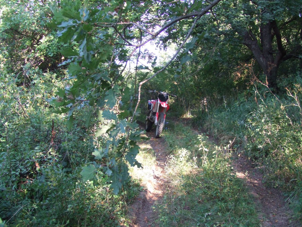 Натиснете снимката за да я уголемите

Име:DSCF4128.jpg
Прегледи:1
Размер:296.7 КБ
ID:5510610