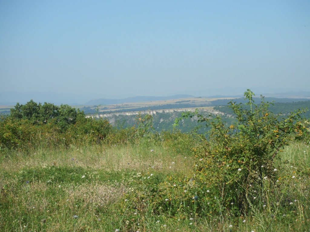 Натиснете снимката за да я уголемите

Име:DSCF4131.jpg
Прегледи:1
Размер:175.1 КБ
ID:5510613