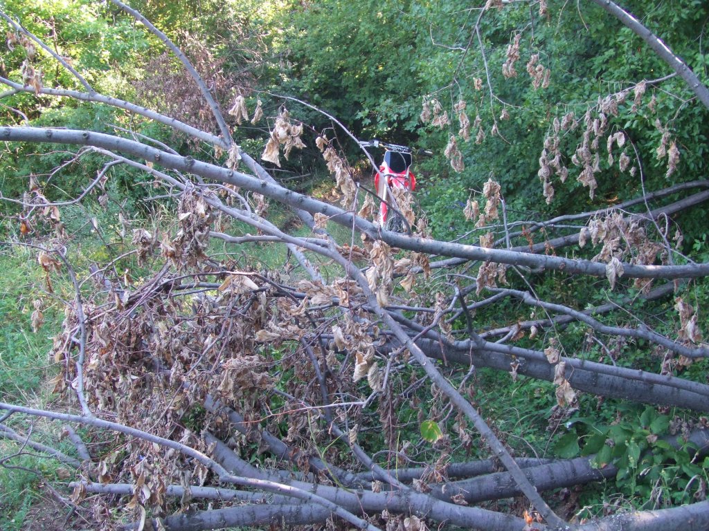 Натиснете снимката за да я уголемите

Име:DSCF4134.jpg
Прегледи:1
Размер:303.8 КБ
ID:5510614