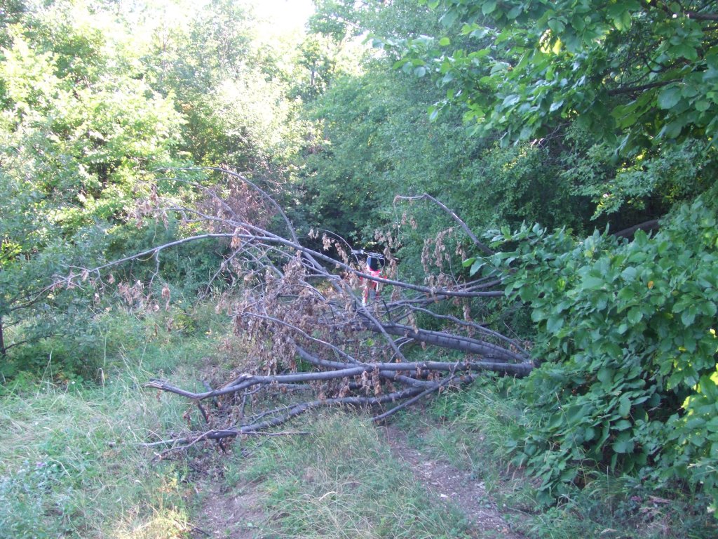 Натиснете снимката за да я уголемите

Име:DSCF4133.jpg
Прегледи:1
Размер:274.0 КБ
ID:5510615