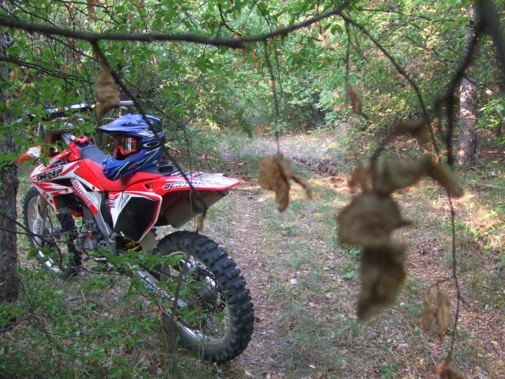 Натиснете снимката за да я уголемите

Име:DSCF4161.jpg
Прегледи:1
Размер:253.1 КБ
ID:5510636