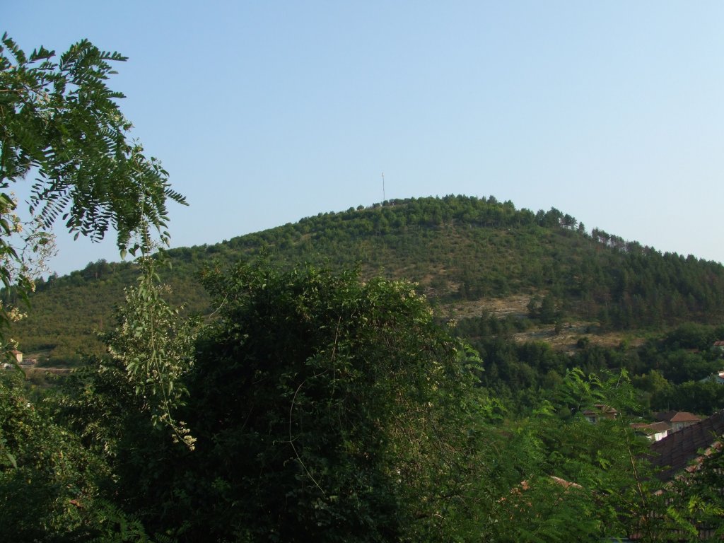 Натиснете снимката за да я уголемите

Име:DSCF4162.jpg
Прегледи:1
Размер:150.0 КБ
ID:5510642