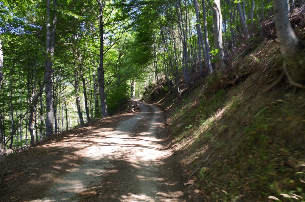 Натиснете снимката за да я уголемите

Име:IMGP0717.jpg
Прегледи:1
Размер:406.3 КБ
ID:5511096