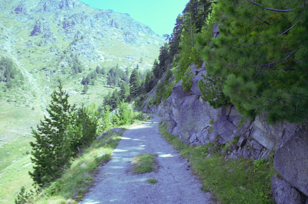 Натиснете снимката за да я уголемите

Име:IMGP0729.jpg
Прегледи:1
Размер:365.6 КБ
ID:5511099