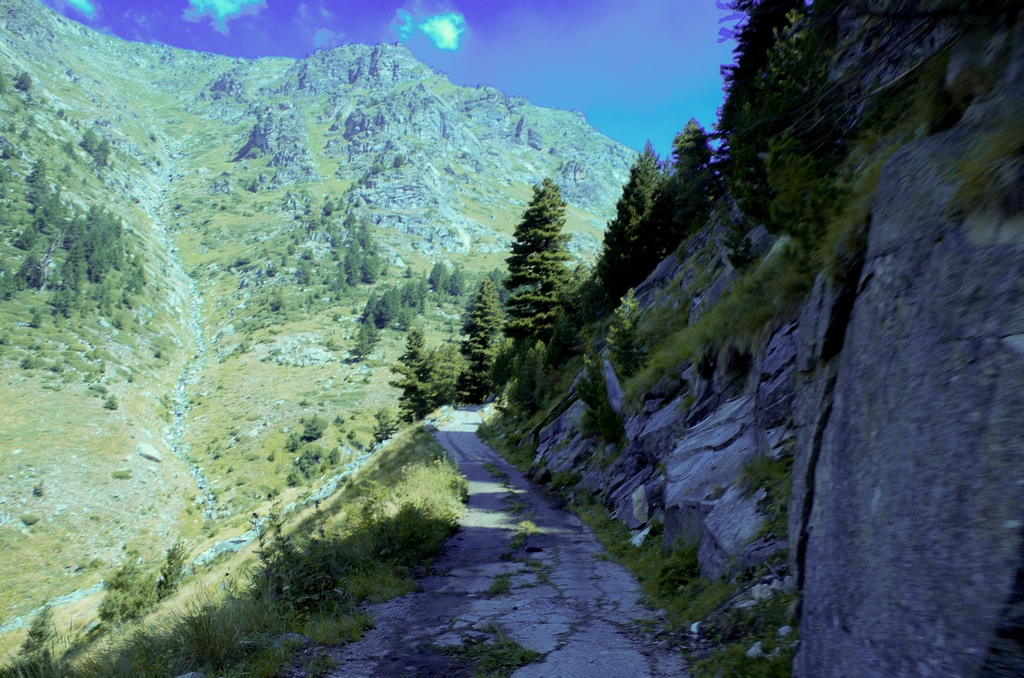 Натиснете снимката за да я уголемите

Име:IMGP0731.jpg
Прегледи:1
Размер:364.8 КБ
ID:5511100