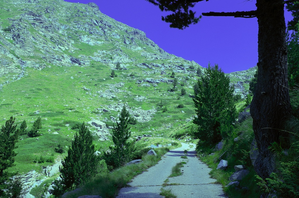 Натиснете снимката за да я уголемите

Име:IMGP0737.jpg
Прегледи:1
Размер:421.5 КБ
ID:5511102