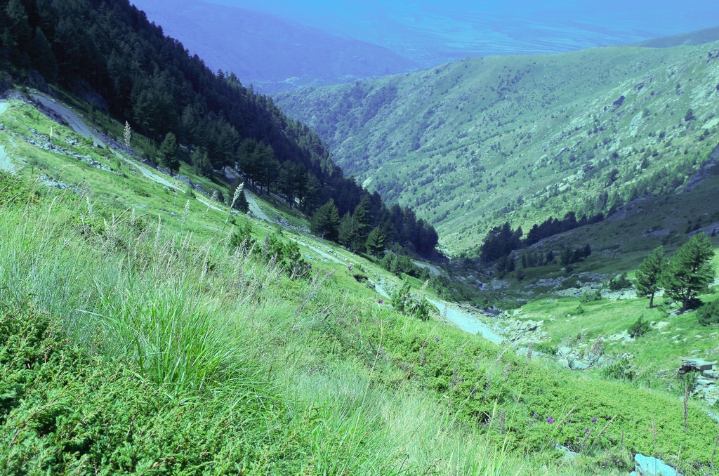 Натиснете снимката за да я уголемите

Име:IMGP0740.jpg
Прегледи:1
Размер:448.4 КБ
ID:5511103